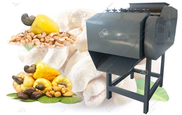 cashew nut shelling machine
