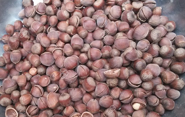 Hazelnuts Shelling Machine